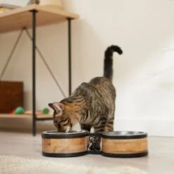 Frisco Premium Elevated Bone Design Stainless Steel Double Diner Dog & Cat Bowl -WoofyPlay Store 331499 PT3. AC SS1800 V1657656892