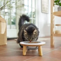 Frisco Premium Round Shape Elevated Single Dog & Cat Bowl 9 Frisco Premium Round Shape Elevated Single Dog & Cat Bowl -WoofyPlay Store 331502 PT3. AC SS1800 V1657656892