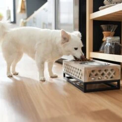 Frisco Premium Wood Elevated Stainless Steel Double Diner Dog & Cat Bowl, 3 Cup -WoofyPlay Store 331507 PT2. AC SS1800 V1657656894