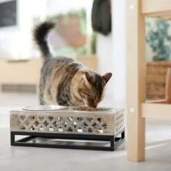 Frisco Premium Wood Elevated Stainless Steel Double Diner Dog & Cat Bowl, 3 Cup -WoofyPlay Store 331507 PT3. AC SS1800 V1657656894