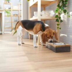 Frisco Premium Stainless Steel Double Diner Dog & Cat Bowl, Black 9 Frisco Premium Stainless Steel Double Diner Dog & Cat Bowl, Black -WoofyPlay Store 331532 PT2. AC SS1800 V1657656874