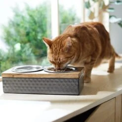 Frisco Premium Stainless Steel Double Diner Dog & Cat Bowl, Black 10 Frisco Premium Stainless Steel Double Diner Dog & Cat Bowl, Black -WoofyPlay Store 331532 PT3. AC SS1800 V1657656874
