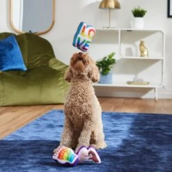 Frisco Pride Symbols Plush Squeaky Dog Toy, 3 Count -WoofyPlay Store 331630 PT3. AC SS1800 V1647355798