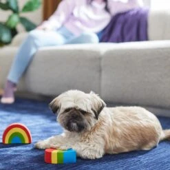 Frisco Pride Rainbow & Heart Latex Squeaky Dog Toy, 2 Count 5 Frisco Pride Rainbow & Heart Latex Squeaky Dog Toy, 2 Count -WoofyPlay Store 331632 PT3. AC SS1800 V1647355825