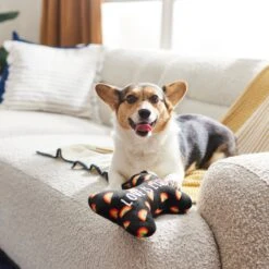 Frisco Pride Proud Pup Bone Plush Squeaky Dog Toy 7 Frisco Pride Proud Pup Bone Plush Squeaky Dog Toy -WoofyPlay Store 331638 PT3. AC SS1800 V1647355940