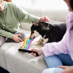 Frisco Pride Flag Flat Squeaky Dog Toy -WoofyPlay Store 331640 PT3. AC SS1800 V1647355852