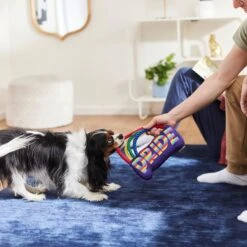 Frisco Pride Rainbow Plush With Rope Squeaky Dog Toy 5 Frisco Pride Rainbow Plush With Rope Squeaky Dog Toy -WoofyPlay Store 331653 PT3. AC SS1800 V1647356026