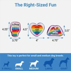Frisco Pride Rainbow Hide & Seek Puzzle Plush Squeaky Dog Toy -WoofyPlay Store 331673 PT2. AC SS1800 V1649785282