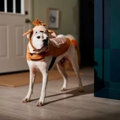 Frisco Deer Dog & Cat Costume -WoofyPlay Store 334874 PT7. AC SS1800 V1657720507