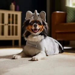 Frisco Elephant Dog & Cat Costume 12 Frisco Elephant Dog & Cat Costume -WoofyPlay Store 334915 PT7. AC SS1800 V1657718739