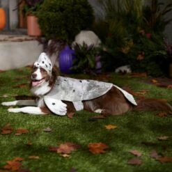 Frisco Seal Dog & Cat Costume 12 Frisco Seal Dog & Cat Costume -WoofyPlay Store 334983 PT7. AC SS1800 V1657730462