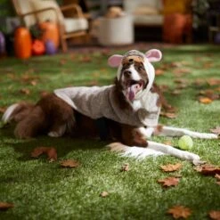 Frisco Hedgehog Dog & Cat Costume -WoofyPlay Store 334990 PT7. AC SS1800 V1657732628