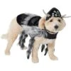 Frisco Spider Dog & Cat Costume