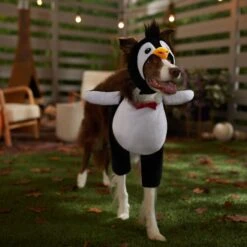 Frisco Front Walking Penguin Dog & Cat Costume -WoofyPlay Store 335062 PT7. AC SS1800 V1657718971