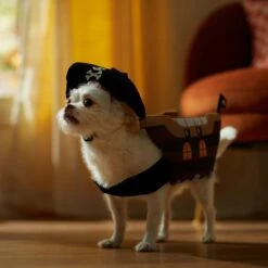 Frisco Pirate Ship Dog & Cat Costume -WoofyPlay Store 335078 PT7. AC SS1800 V1657656881