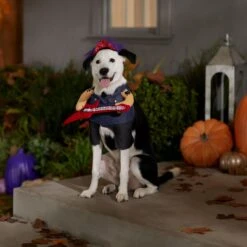 Frisco Front Walking Punk Rocker Dog & Cat Costume 14 Frisco Front Walking Punk Rocker Dog & Cat Costume -WoofyPlay Store 335087 PT7. AC SS1800 V1657732627