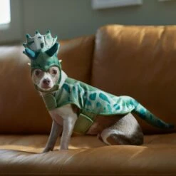 Frisco Triceratops Dog & Cat Costume 14 Frisco Triceratops Dog & Cat Costume -WoofyPlay Store 335093 PT7. AC SS1800 V1657659565