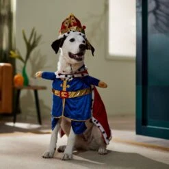 Frisco Front Walking Royal King Dog & Cat Costume 14 Frisco Front Walking Royal King Dog & Cat Costume -WoofyPlay Store 335127 PT7. AC SS1800 V1659037728