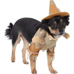 Frisco Front Walking Scarecrow Dog & Cat Costume -WoofyPlay Store 335135 PT3. AC SS1800 V1658349680
