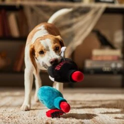 Frisco Halloween Elixirs Plush Squeaky Dog Toy 7 Frisco Halloween Elixirs Plush Squeaky Dog Toy -WoofyPlay Store 344004 PT3. AC SS1800 V1689878498