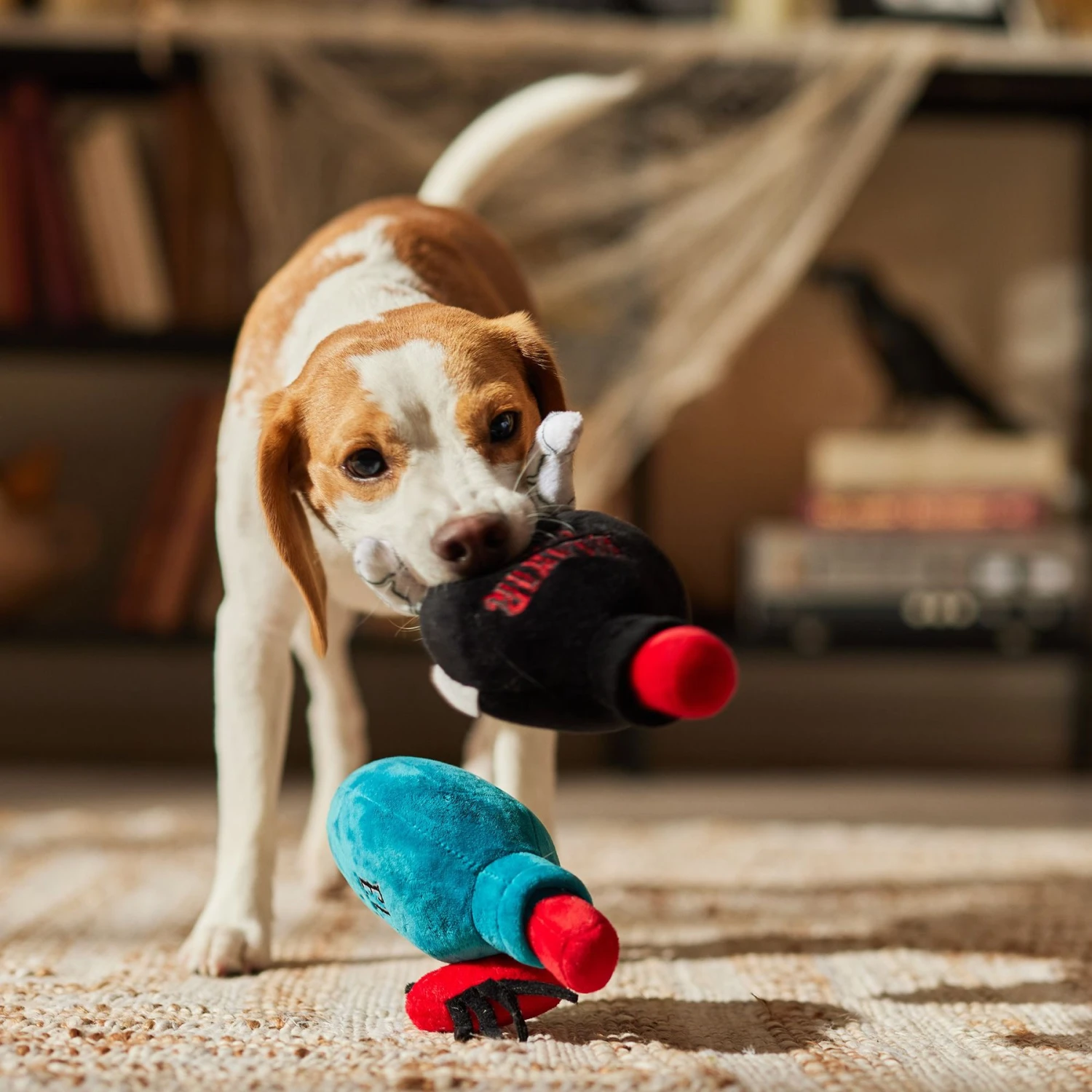 Frisco Halloween Elixirs Plush Squeaky Dog Toy 3 Frisco Halloween Elixirs Plush Squeaky Dog Toy - Image 3