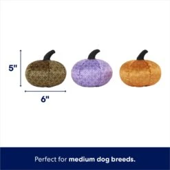 Frisco Halloween Bougie Pumpkins Plush Squeaky Dog Toy -WoofyPlay Store 344016 PT1. AC SS1800 V1689877467