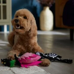 Frisco Halloween Flamingo Plush Squeaky Dog Toy 6 Frisco Halloween Flamingo Plush Squeaky Dog Toy -WoofyPlay Store 344123 PT3. AC SS1800 V1657657035