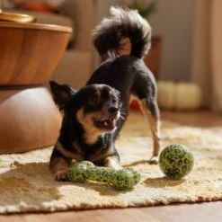 Frisco Halloween Glow In The Dark TPR Squeaky Bone & Ball Dog Toy -WoofyPlay Store 344130 PT3. AC SS1800 V1657657042