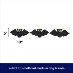 Frisco Halloween Haunted House Hide & Seek Puzzle Plush Squeaky Dog Toy 8 Frisco Halloween Haunted House Hide & Seek Puzzle Plush Squeaky Dog Toy -WoofyPlay Store 344136 PT2. AC SS1800 V1690911191