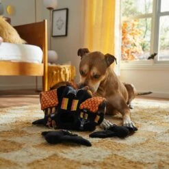 Frisco Halloween Haunted House Hide & Seek Puzzle Plush Squeaky Dog Toy 9 Frisco Halloween Haunted House Hide & Seek Puzzle Plush Squeaky Dog Toy -WoofyPlay Store 344136 PT3. AC SS1800 V1657657042