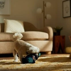 Frisco Halloween Lantern Ballistic Nylon Plush Squeaky Dog Toy -WoofyPlay Store 344138 PT3. AC SS1800 V1657657042