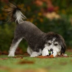 Frisco Halloween Mummy Latex Squeaky Dog Toy -WoofyPlay Store 344140 PT3. AC SS1800 V1657657042