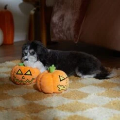 Frisco Halloween Scary Jack-O-Lantern Plush Squeaky Dog Toy -WoofyPlay Store 344158 PT3. AC SS1800 V1657657048