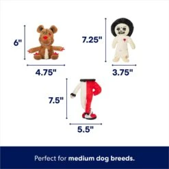 Frisco Halloween Scary Toy Box Hide & Seek Puzzle Plush Squeaky Dog Toy -WoofyPlay Store 344160 PT2. AC SS1800 V1689876502