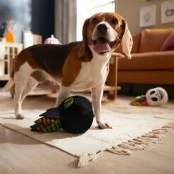 Frisco Halloween Succulents Plush Squeaky Dog Toy 7 Frisco Halloween Succulents Plush Squeaky Dog Toy -WoofyPlay Store 344164 PT3. AC SS1800 V1657657049