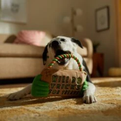 Frisco Halloween "Will Do Tricks For Treats" Sign Plush With Rope Squeaky Dog Toy 9 Frisco Halloween "Will Do Tricks For Treats" Sign Plush With Rope Squeaky Dog Toy -WoofyPlay Store 344172 PT3. AC SS1800 V1657657049