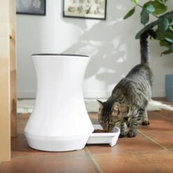 Frisco Automatic Cat & Dog Feeder, White, 13.5 Cup 14 Frisco Automatic Cat & Dog Feeder, White, 13.5 Cup -WoofyPlay Store 345285 PT6. AC SS1800 V1658219294