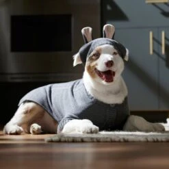 Frisco Bunny Hooded Dog & Cat Sweater 12 Frisco Bunny Hooded Dog & Cat Sweater -WoofyPlay Store 353571 PT6. AC SS1800 V1660749538