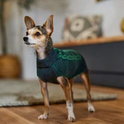Frisco Multi Cable Dog & Cat Sweater -WoofyPlay Store 353628 PT7. AC SS1800 V1660749923