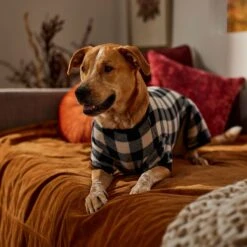 Frisco Plaid Dog & Cat Fleece Pajamas -WoofyPlay Store 353755 PT6. AC SS1800 V1660749967