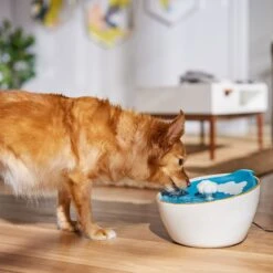 Frisco Ceramic Clouds Dog & Cat Fountain 10 Frisco Ceramic Clouds Dog & Cat Fountain -WoofyPlay Store 355803 PT4. AC SS1800 V1665684810