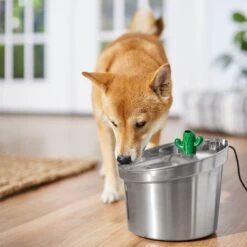 Frisco Stainless Steel Cactus & Leaf Dog & Cat Fountain 12 Frisco Stainless Steel Cactus & Leaf Dog & Cat Fountain -WoofyPlay Store 355814 PT5. AC SS1800 V1665683869