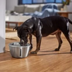 Frisco Stainless Steel Heart Dog & Cat Fountain -WoofyPlay Store 355816 PT5. AC SS1800 V1665684540