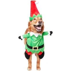Frisco Front Walking Elf Dog & Cat Costume -WoofyPlay Store 357956 PT3. AC SS1800 V1660760416