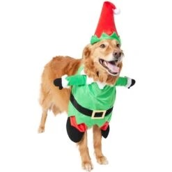Frisco Front Walking Elf Dog & Cat Costume -WoofyPlay Store 357956 PT4. AC SS1800 V1660757458