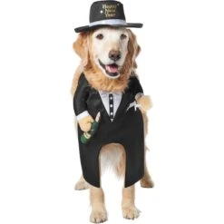 Frisco Front Walking New Years Tuxedo Dog & Cat Costume -WoofyPlay Store 358028 PT3. AC SS1800 V1660765610