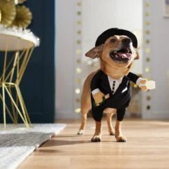 Frisco Front Walking New Years Tuxedo Dog & Cat Costume -WoofyPlay Store 358028 PT7. AC SS1800 V1661799888