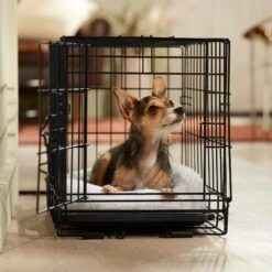 Frisco Adjustable Electrical Dog & Cat Heated Crate Mat With Timer 12 Frisco Adjustable Electrical Dog & Cat Heated Crate Mat With Timer -WoofyPlay Store 358546 PT5. AC SS1800 V1662500981