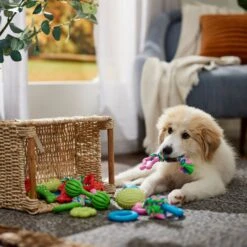Frisco Small Breed Puppies Rope & TPR Variety Pack Puppy Toy -WoofyPlay Store 358552 PT4. AC SS1800 V1669908588