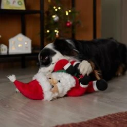 Frisco Holiday Santa Claus Plush Squeaky Dog Toy -WoofyPlay Store 360914 PT3. AC SS1800 V1661874178